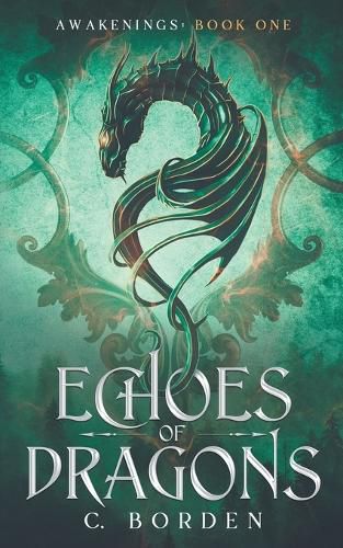 Cover image for Echoes of Dragons