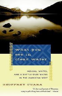 Cover image for What You See in Clear Water