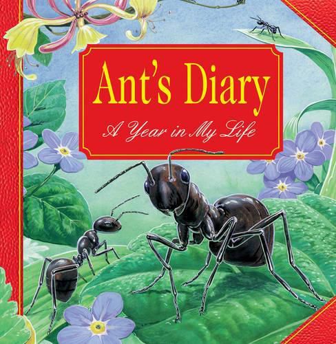 Cover image for Ant's Diary