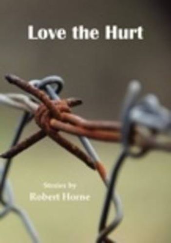 Cover image for Love the Hurt