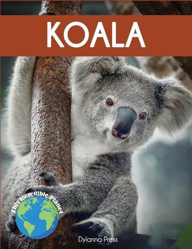 Cover image for Koala