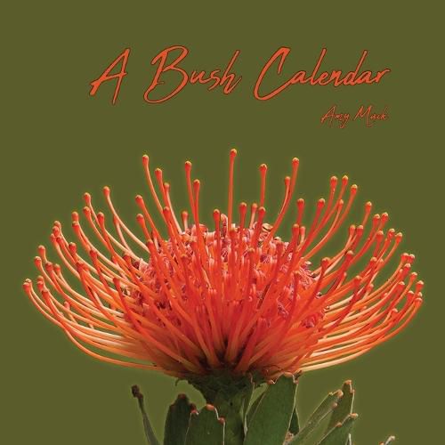 Cover image for A Bush Calendar