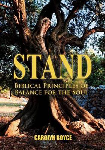 Cover image for Stand: Biblical Principles of Balance for the Soul