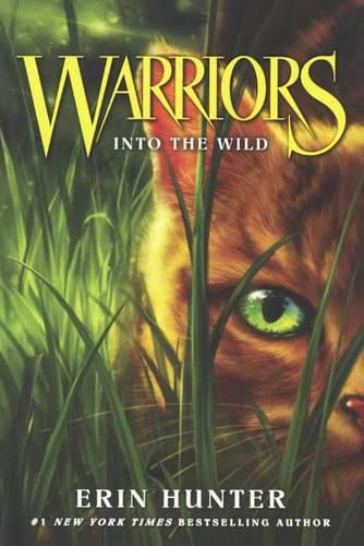 Cover image for Into the Wild