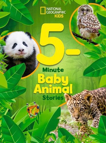 Cover image for National Geographic Kids 5-Minute Baby Animal Stories