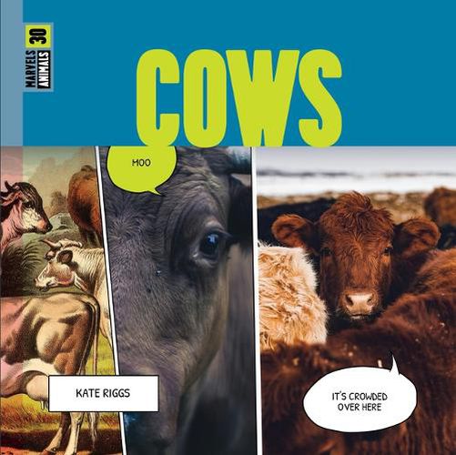 Cover image for Cows