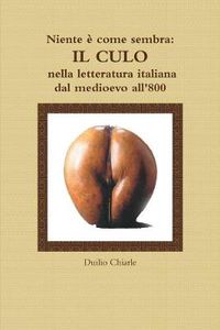 Cover image for Niente e come sembra: IL CULO nella letteratura italiana dal medioevo all'800