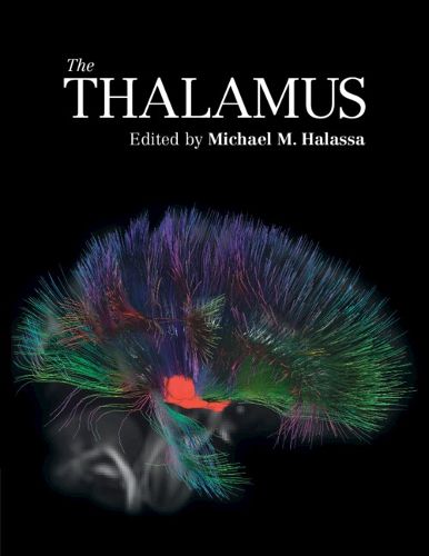 Cover image for The Thalamus