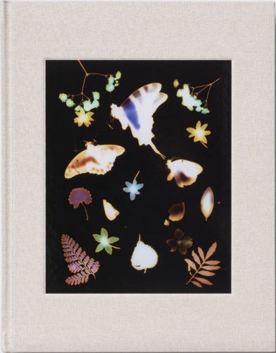 Cover image for The Marble