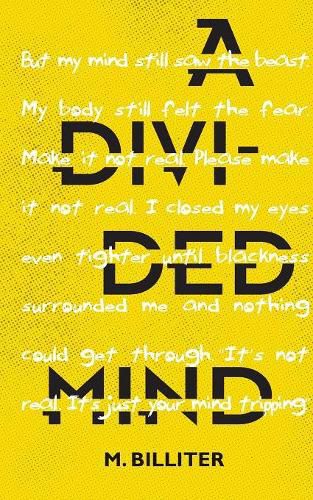 Cover image for A Divided Mind