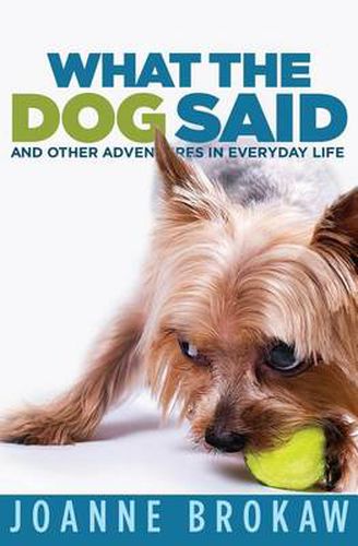 Cover image for What the Dog Said