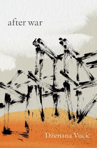 Cover image for after war