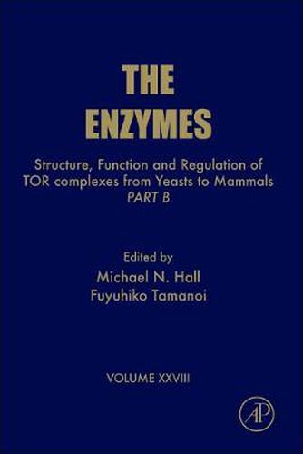 Structure, Function and Regulation of TOR complexes from Yeasts to Mammals: Part B