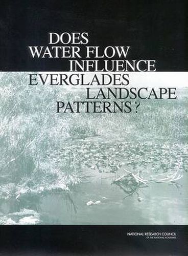 Does Water Flow Influence Everglades Landscape Patterns?