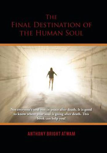 Cover image for The Final Destination of the Human Soul