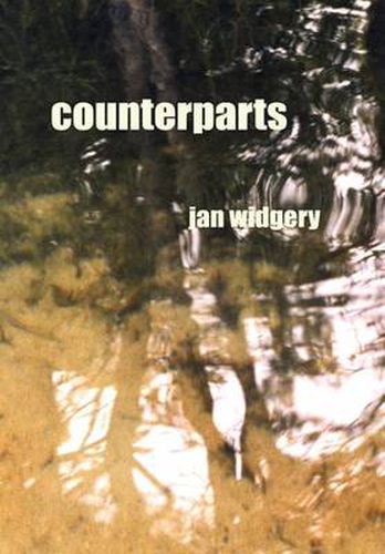 Cover image for Counterparts