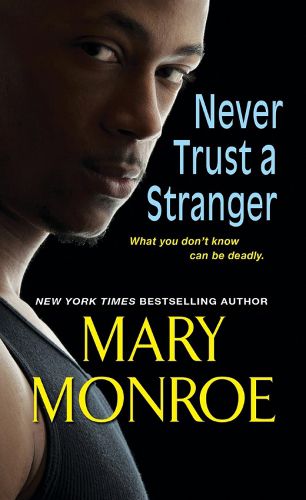 Cover image for Never Trust A Stranger