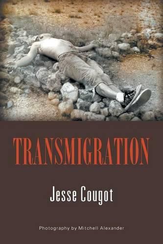 Cover image for Transmigration