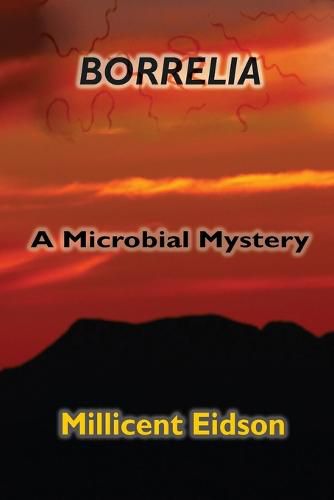 Cover image for Borrelia: A Microbial Mystery