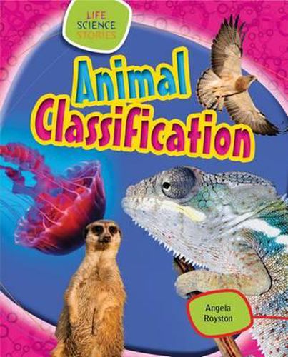 Cover image for Animal Classification
