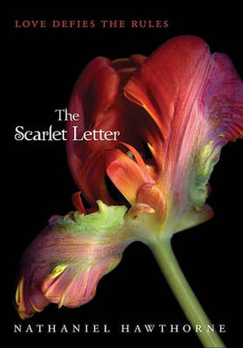 Cover image for The Scarlet Letter