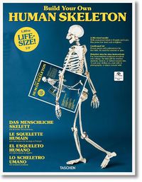 Cover image for Build Your Own Human Skeleton - Life Size!