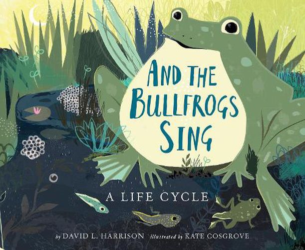 Cover image for And the Bullfrogs Sing: A Life Cycle Begins