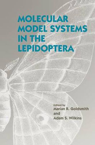 Cover image for Molecular Model Systems in the Lepidoptera