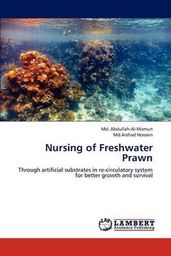 Cover image for Nursing of Freshwater Prawn