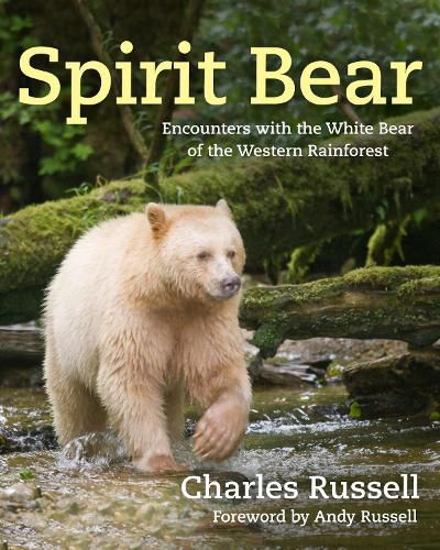 Cover image for Spirit Bear: Encounters with the White Bear of the Western Rainforest