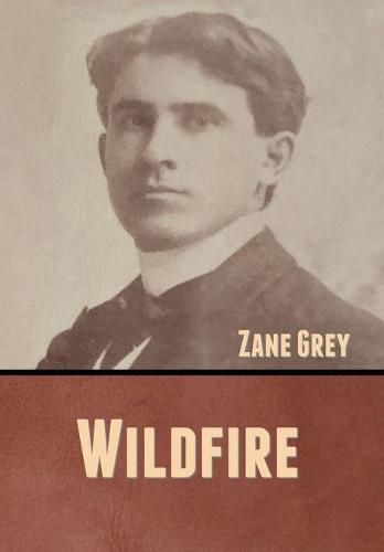 Cover image for Wildfire