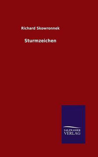 Cover image for Sturmzeichen