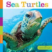 Cover image for Sea Turtles