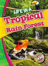 Cover image for Life In A Tropical Rain Forest