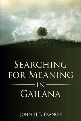 Cover image for Searching for Meaning in Gailana