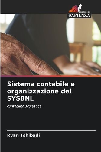 Cover image for Sistema contabile e organizzazione del SYSBNL
