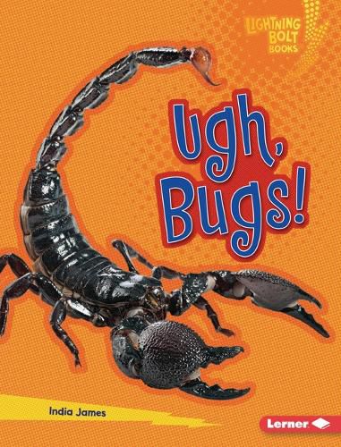 Cover image for Ugh, Bugs!