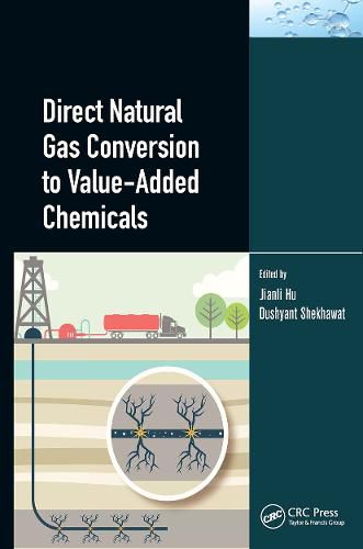 Cover image for Direct Natural Gas Conversion to Value-Added Chemicals