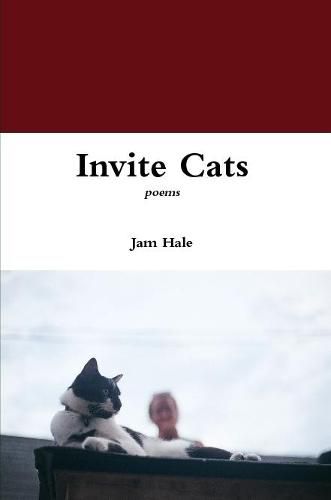 Cover image for Invite Cats