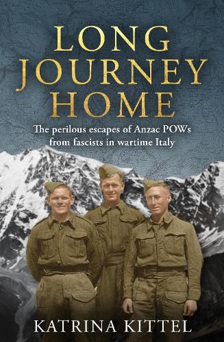 Cover image for Long Journey Home