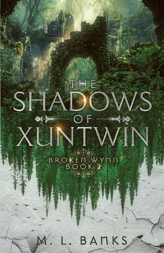 Cover image for The Shadows of Xuntwin