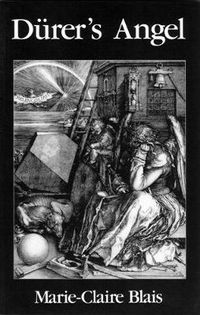 Cover image for Durer's Angel