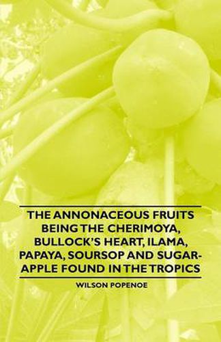 Cover image for The Annonaceous Fruits Being the Cherimoya, Bullock's Heart, Ilama, Papaya, Soursop and Sugar-Apple Found in the Tropics