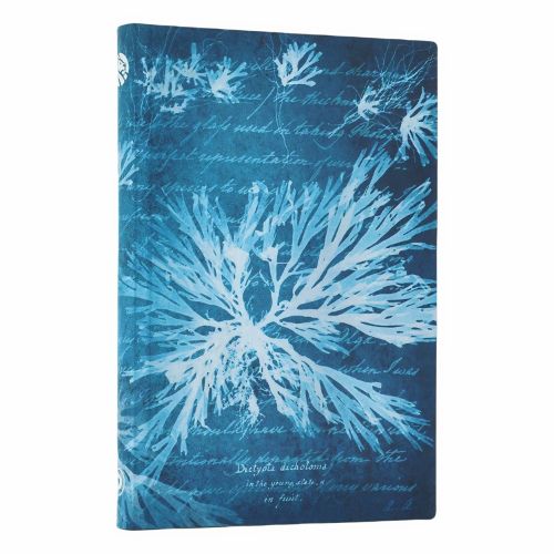 Cover image for Sea Flowers (Anna Atkins' Cyanotypes) Mini Lined Softcover Flexi Journal (Elastic Band Closure)