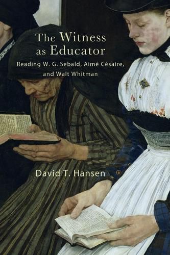 Cover image for The Witness as Educator