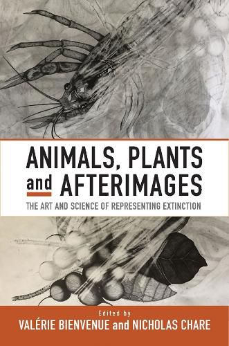 Cover image for Animals, Plants and Afterimages: The Art and Science of Representing Extinction