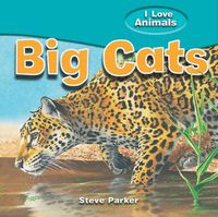 Cover image for Big Cats