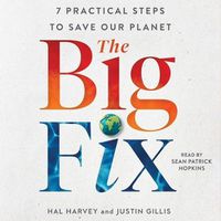 Cover image for The Big Fix: Seven Practical Steps to Save Our Planet