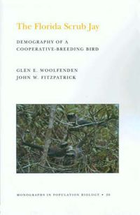 Cover image for The Florida Scrub Jay (MPB-20), Volume 20: Demography of a Cooperative-Breeding Bird. (MPB-20)