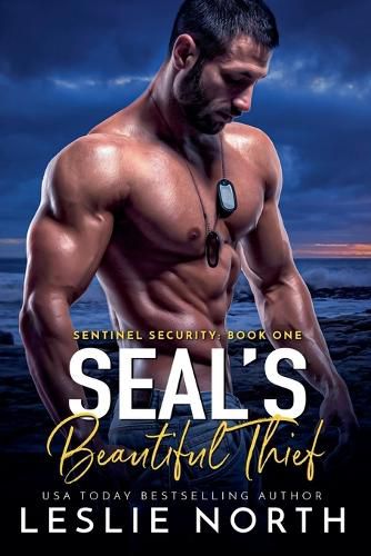 Cover image for SEAL's Beautiful Thief